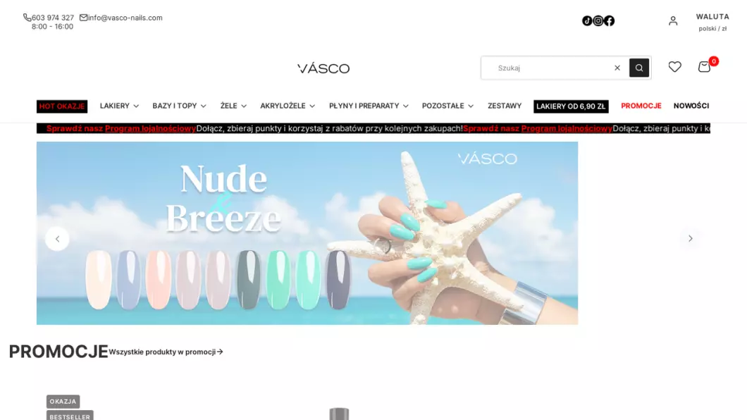 Zrzut ekranu strony Vasco Nails